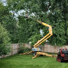 Tree and Shrub Care in North Merritt Island, FL